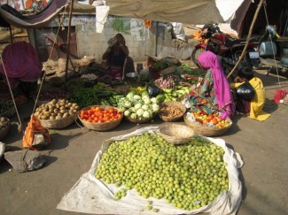 Eine indische Bäuerin bietet Amla-Beeren auf einem Markt in Pushkar, Rajasthan, an